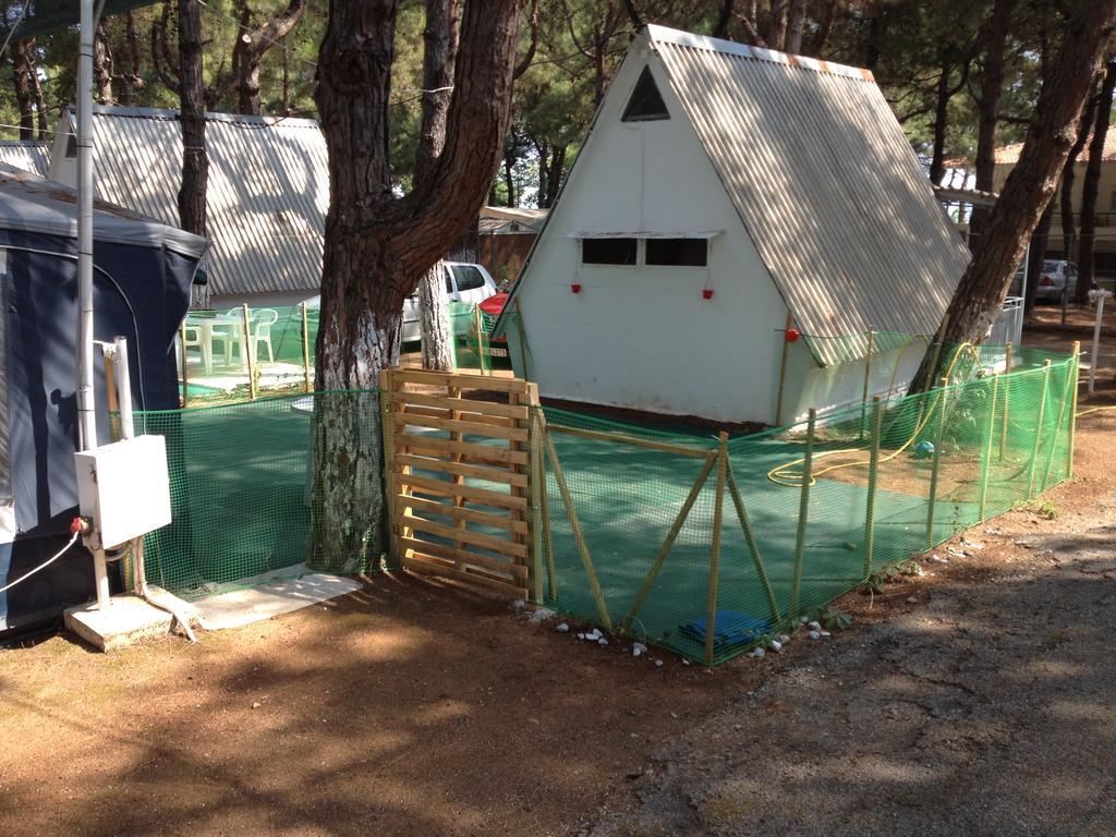 Olympos Beach Plaka Litochorou Luaran gambar