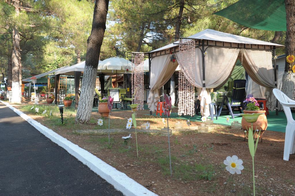 Olympos Beach Plaka Litochorou Luaran gambar