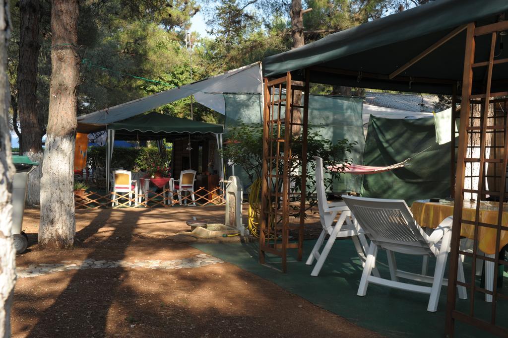 Olympos Beach Plaka Litochorou Luaran gambar